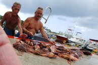 20180722_150257.jpg