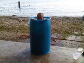 IMG00096-20100905-1545.jpg