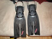 DSC09187.jpg