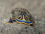 IMG_4453.jpg