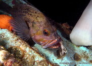 M0011127-1.JPG