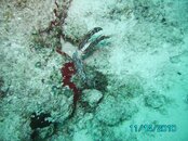 IMG_0023.jpg