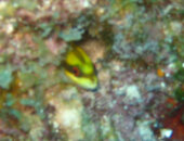 IMG_0005.jpg