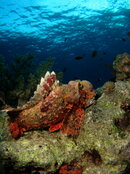 IMG_6821.JPG
