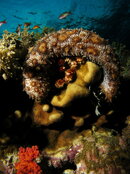 IMG_6784.JPG