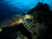 IMG_6766.JPG