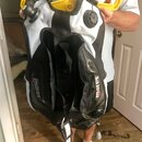 BC-Back.jpg