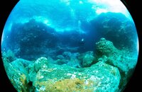 Fisheye lens view of Sarah between crashing surf and rocks Kona August 2018.jpg