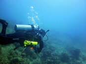 dive1.jpg
