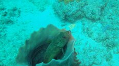 dive 5.jpg