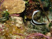 IMG_7040.jpg