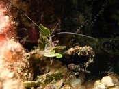 IMG_7092.jpg