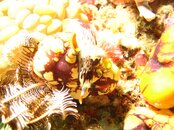 IMG_7590.jpg