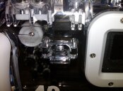 IMG00033-20101206-2043.jpg