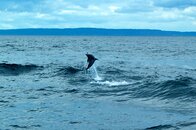 DSC_6711.jpg