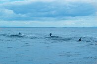DSC_6719.jpg