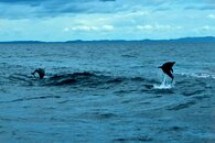 DSC_6720.jpg
