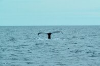 DSC_6858.jpg