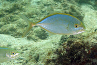 IMG_4740acrre.jpg