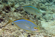 IMG_4742acrre.jpg
