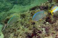 IMG_4743acrre.jpg