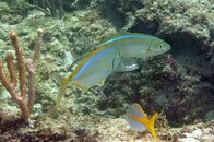 IMG_4746acrre.jpg