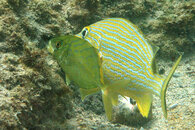 IMG_4762acrre.jpg