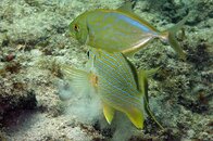 IMG_4764acrre.jpg