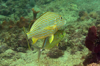IMG_4768acrre.jpg