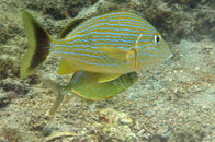 IMG_4769acrre.jpg