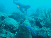 DSC00486.jpg