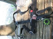 IMG_0491.jpg