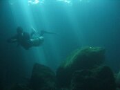 IMG_1147.jpg