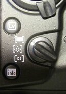 IMG_0310MB.jpg