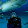 scottsharkdivethumbnail.jpg