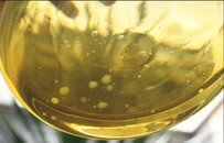 200 hours old oil v4 - reduced oil level to see water droplets at container bottom against sun l.JPG