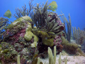 PICT0058.JPG