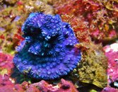 IMG_1069.JPG