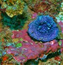 IMG_1070.JPG