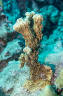 DSC03940-2.jpg