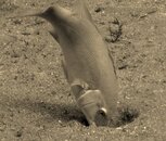 IMG_1159.JPG