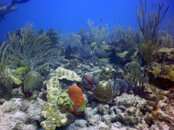 PICT0060.JPG