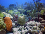 PICT0061.JPG