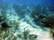PICT0074.JPG