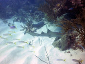 PICT0082.JPG