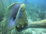 PICT0094.JPG