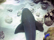 PICT0102.JPG