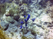 PICT0107.JPG