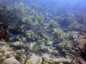 PICT0108.JPG