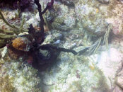 PICT0129.JPG